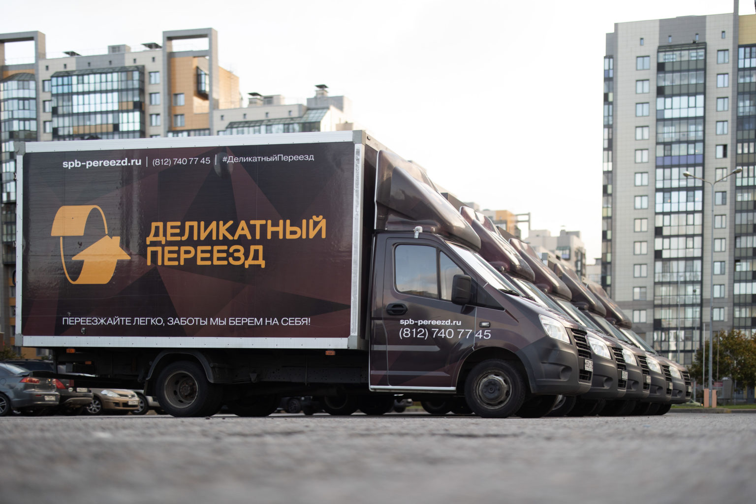 ряд коричневых газелей компании